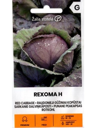 Kapusta głowiasta czerwona 'Rexoma' H, 20 nasion