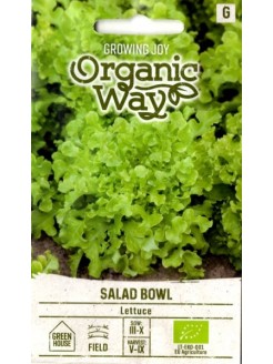 Sałata siewna 'Salad Bowl' 1 g