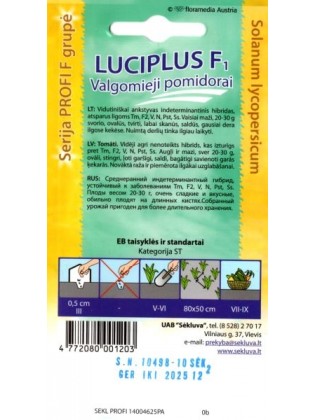Pomidor zwyczajny 'Luciplus' H, 10 nasion