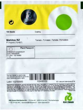 Pomidor zwyczajny 'Mahitos' H, 100 nasion