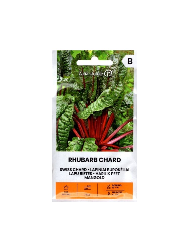 Burak liściowy boćwina 'Rhubarb Chard' 3 g