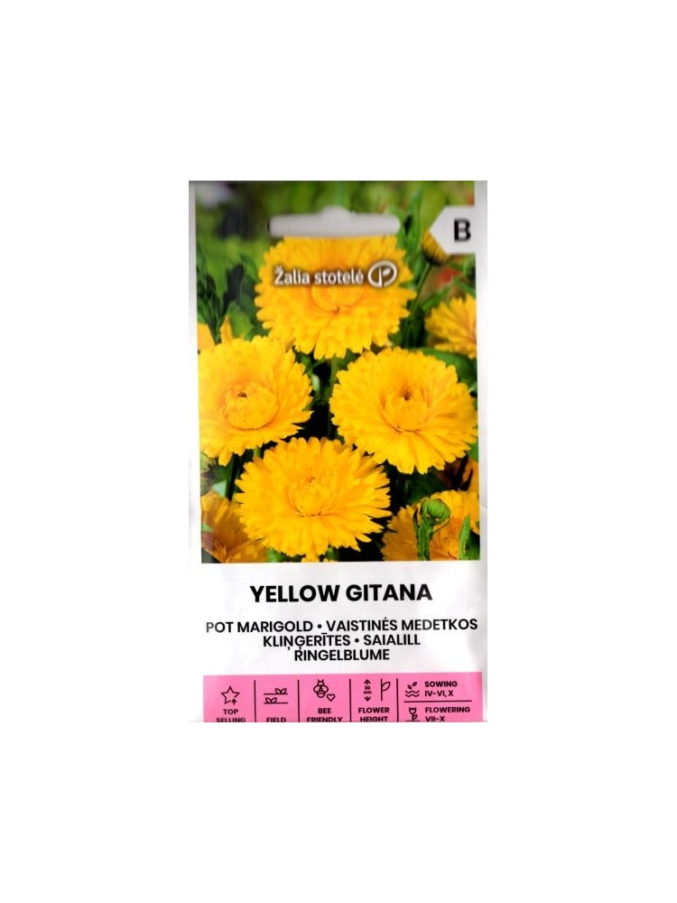 VL Vaistinės medetkos (Calendula officinalis) 'Yellow Gitana' 2 g