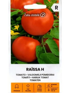 Pomidor zwyczajnyi 'Raissa' H,  10 nasion