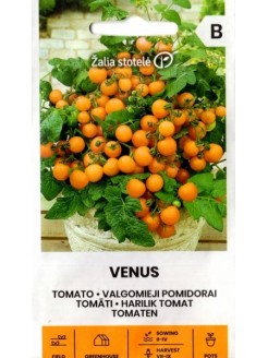 Pomidor zwyczajny 'Venus' 0,1 g