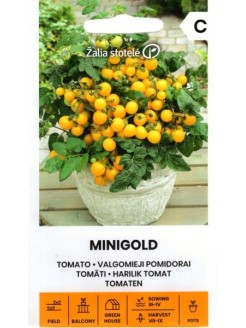 Pomidor zwyczajny 'Minigold' H, 0,1 g