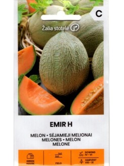 Ogórek melon 'Emir' H, 1 g