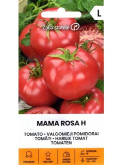 Pomidor zwyczajny 'Mama Rosa' H,  10 nasion