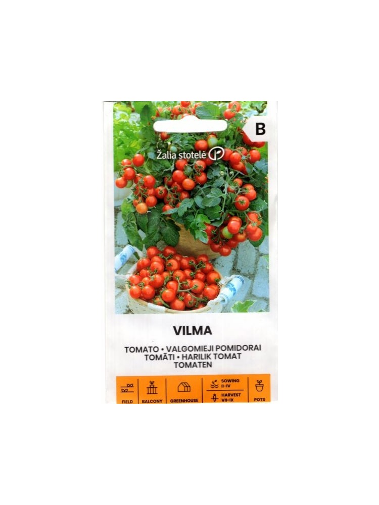 Pomidor zwyczajny 'Vilma' 0,2 g