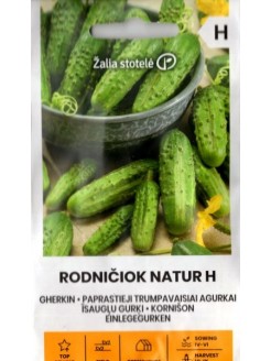 Ogórek siewny 'Rodniczok natur' H, 2 g