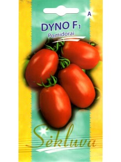 Pomidor 'Dyno' H, 15 nasion