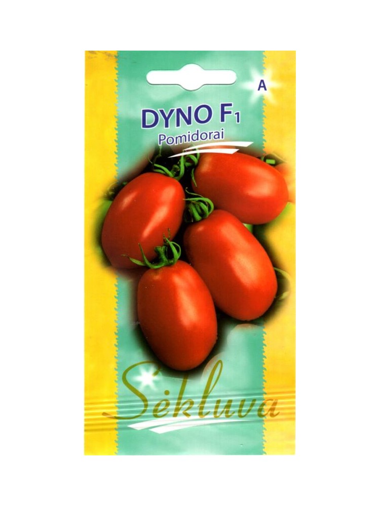 Pomidor 'Dyno' H, 15 nasion