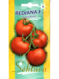 Pomidor 'Rediana' H