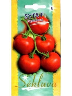 Pomidor 'Syta' H
