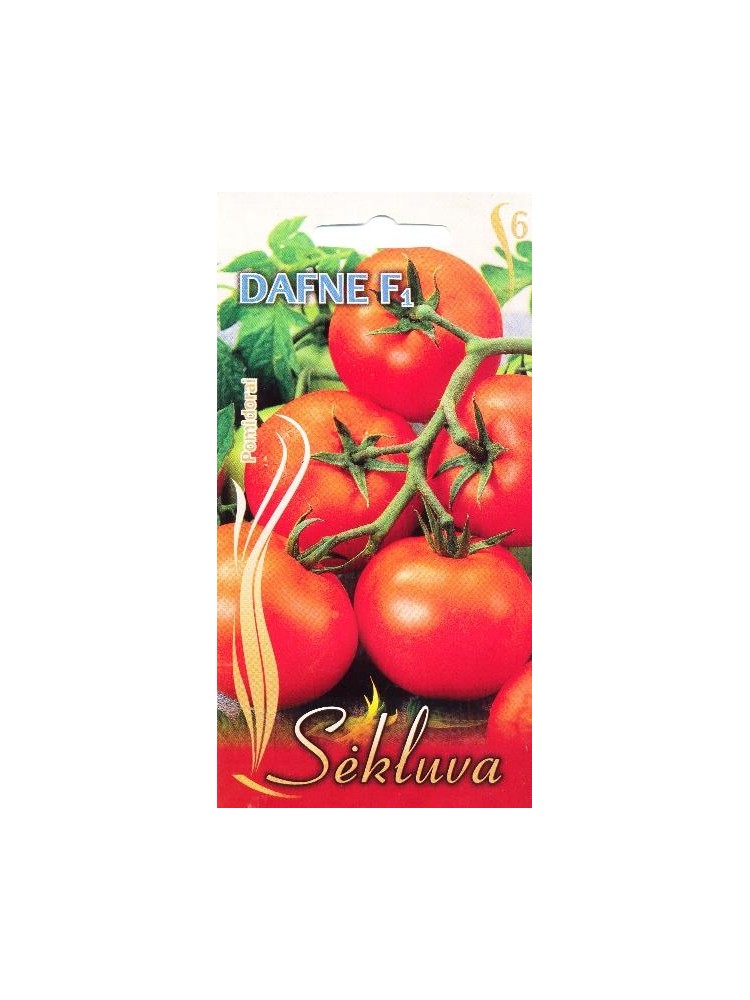 Pomidor zwyczajny 'Dafne' H