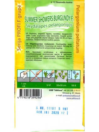 Pelargonia bluszczolistna 'Summer Showers Burgundy' H, 5 nasion