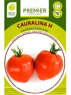 Pomidor 'Cauralina' H
