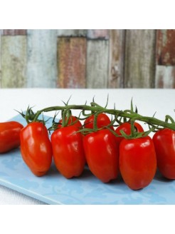 Pomidor 'Sanmino' H, 100 nasion