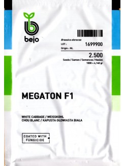 Kapusta głowiasta biała 'Megaton' H, 2500 nasion