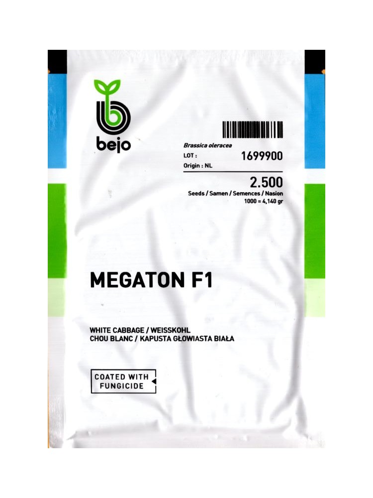 Kapusta głowiasta biała 'Megaton' H, 2500 nasion