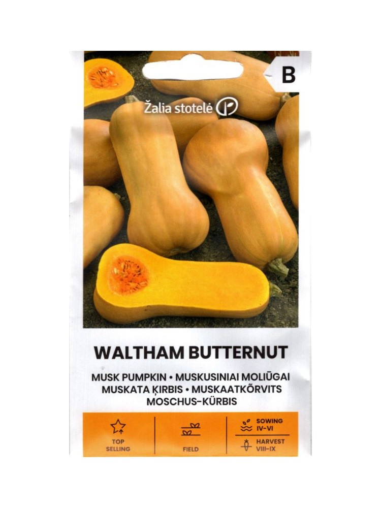 Dynia piżmowa 'Waltham Butternut', nasiona w internecie