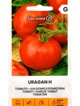 Pomidor 'Uragan' H, 0,1 g