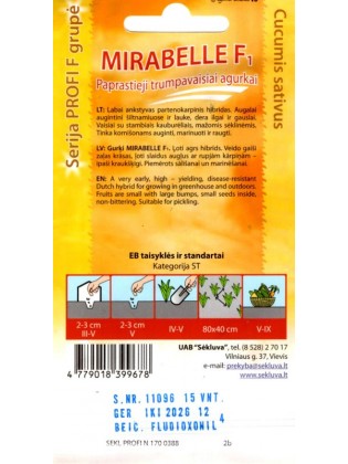 Ogórek 'Mirabelle' H, 15 nasion