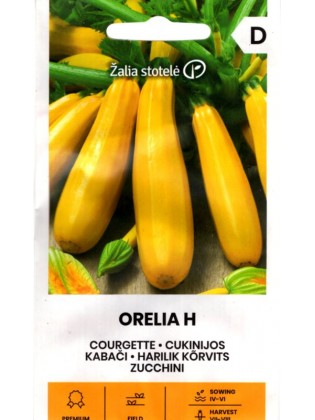 Cukinia 'Orelia' H, 5 nasion