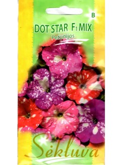 Petunia ogrodowa 'Dot Star' H mix, 10 nasion