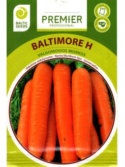 Marchew 'Baltimore' H, 600 nasion
