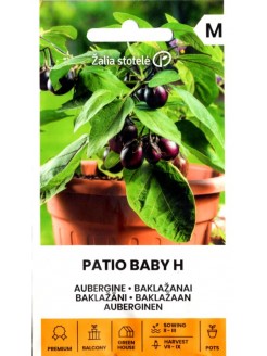 Oberżyna 'Patio Baby' H, 10 nasion