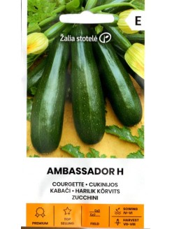 Cukinia 'Ambassador' H, 1 g