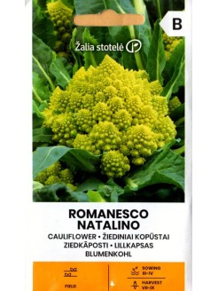 Kalafior 'Romanesco Natalino'  0,5 g