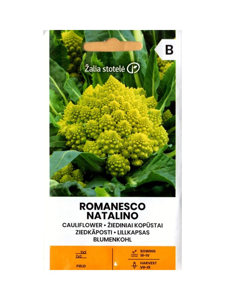 Kalafior 'Romanesco Natalino'  0,5 g