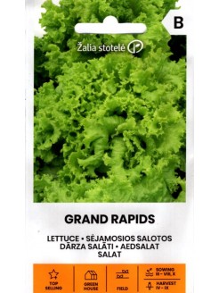 Sałata siewna 'Grand Rapids' 2 g