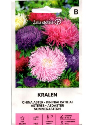 Aster chiński gr. "Krallen", igiełkowe