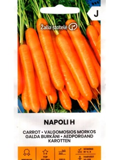 Marchew 'Napoli' H, 1 g