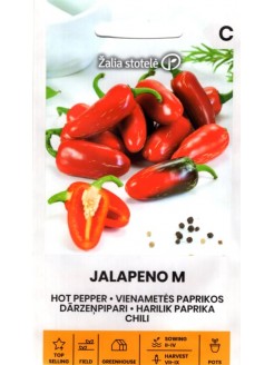 Papryka roczna 'Jalapeno M'