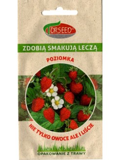 Poziomka pospolita 'Regina' 0,2 g
