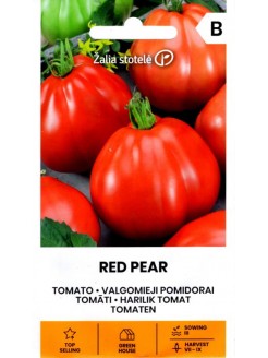 Pomidor 'Red Pear'