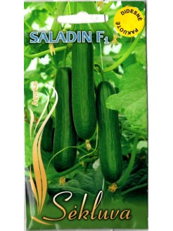 Ogórek 'Saladin' H