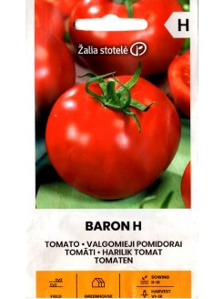 Pomidor zwyczajny 'Baron' H