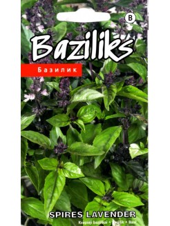 Bazylia pospolita 'Spires Lavender' 20 nasion