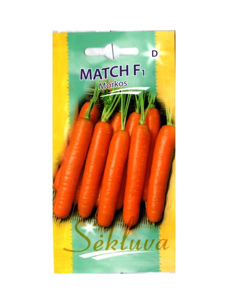 Marchew 'Match' H