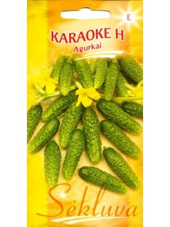 Ogórek siewny 'Karaoke' H, 30 nasion