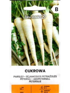 Pietruszka zwyczajna 'Cukrowa'