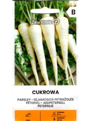 Pietruszka zwyczajna 'Cukrowa'