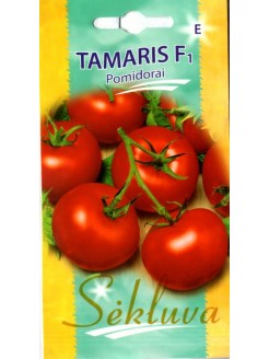 Pomidor 'Tamaris' H, 10 nasion