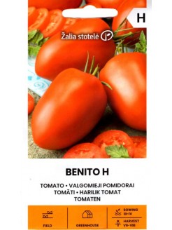 Pomidor 'Benito' H