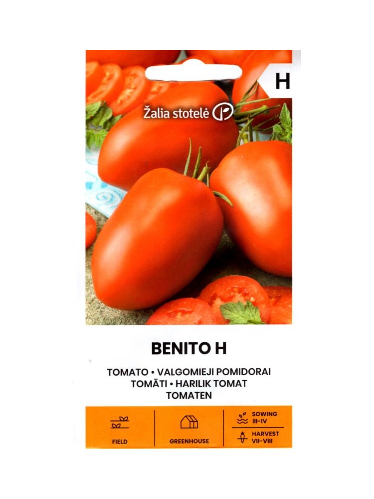 Pomidor 'Benito' H