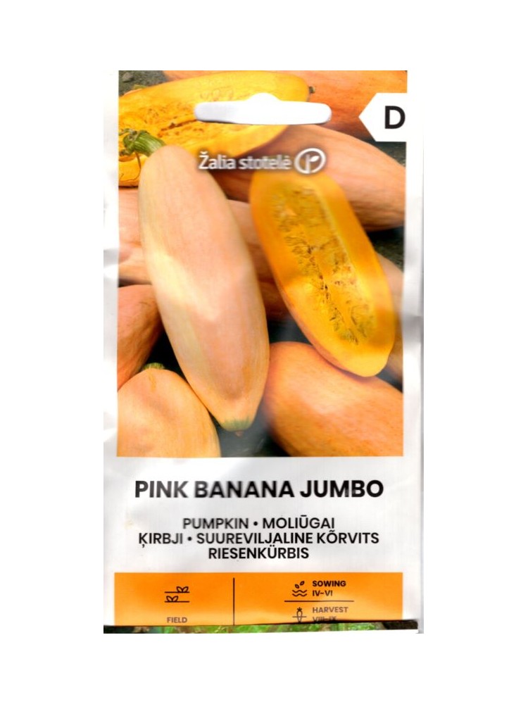 Dynia olbrzymia 'Pink banana jumbo'